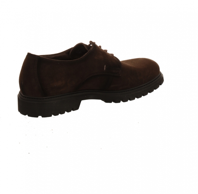 Lloyd Select GTX