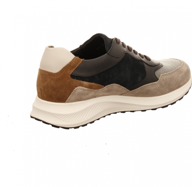 Mephisto Driss