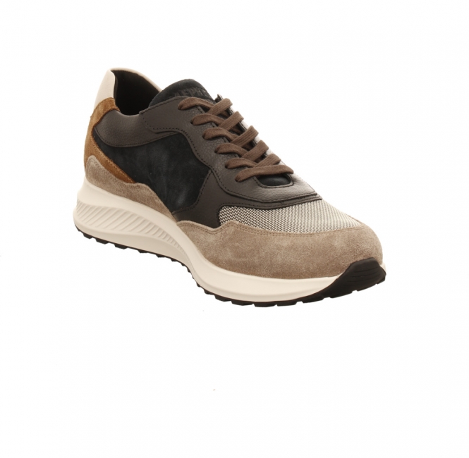 Mephisto Driss