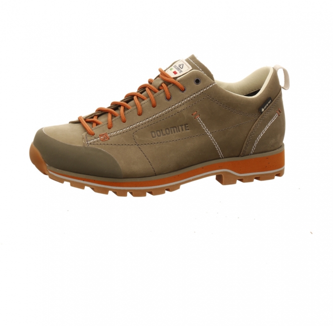 Dolomite 54 Low Fg EVO GTX Men grün