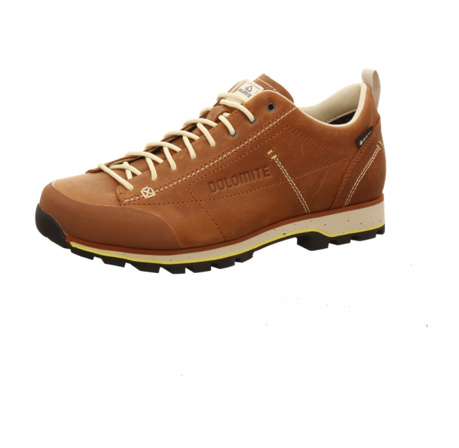 Dolomite 54 Low Fg EVO GTX Men braun