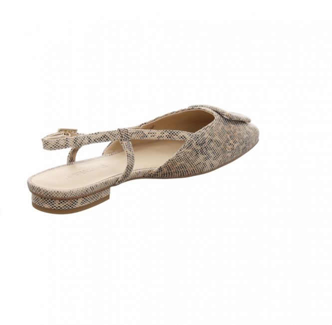 Preview: Peter Kaiser 9 79441 46