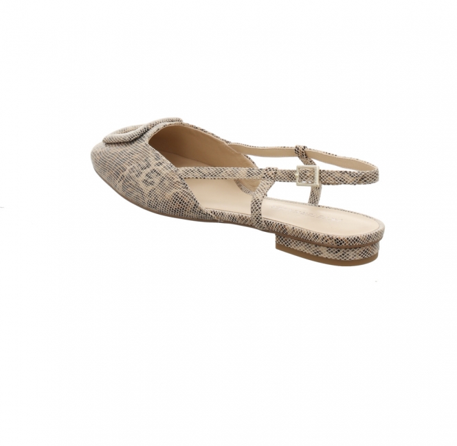 Preview: Peter Kaiser 9 79441 46