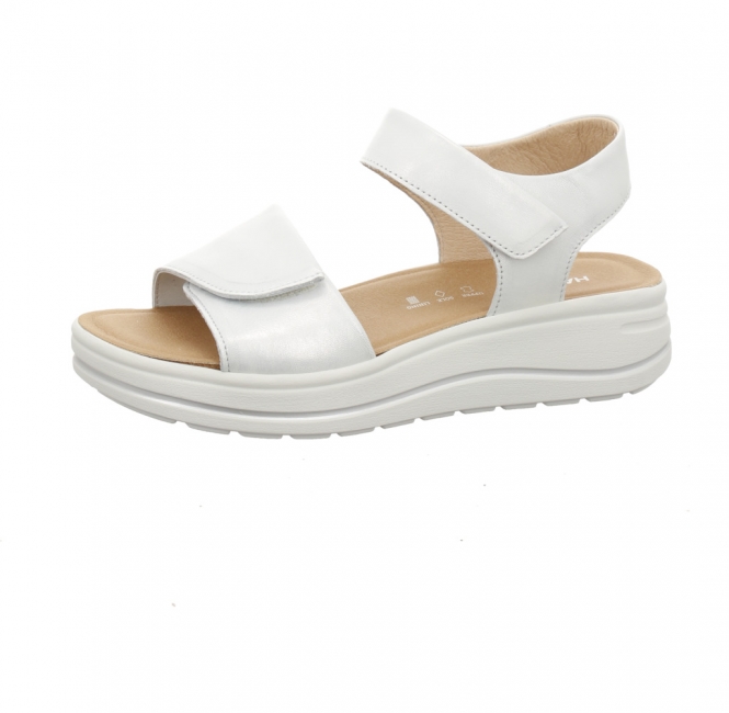 Hartjes 132 2002/40 silber