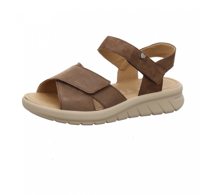 Hartjes 132 1801/43 dunkelbraun