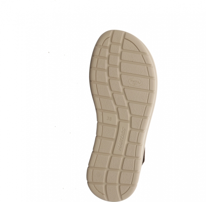 Hartjes 132 1801/43 dunkelbraun