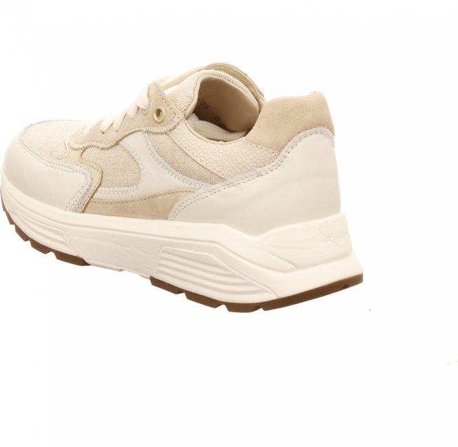 Xsensible 33002.5 Ponte Vecchio