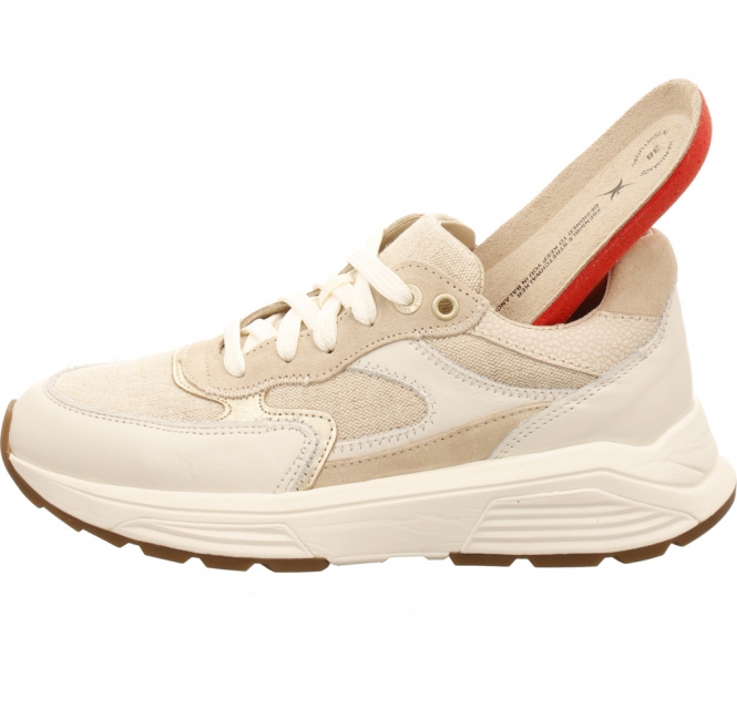 Xsensible 33002.5 Ponte Vecchio