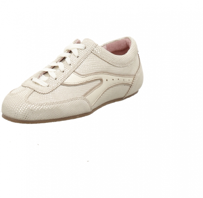 Floris van Bommel SFW 10161gold