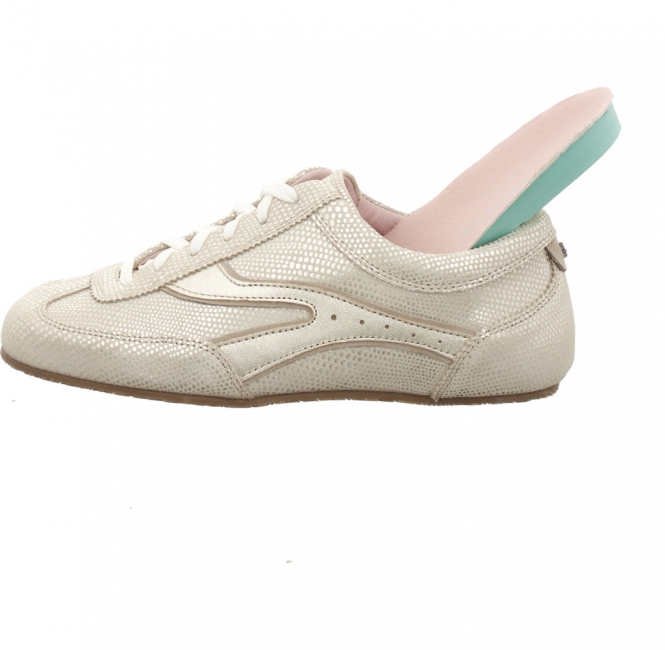 Floris van Bommel SFW 10161gold