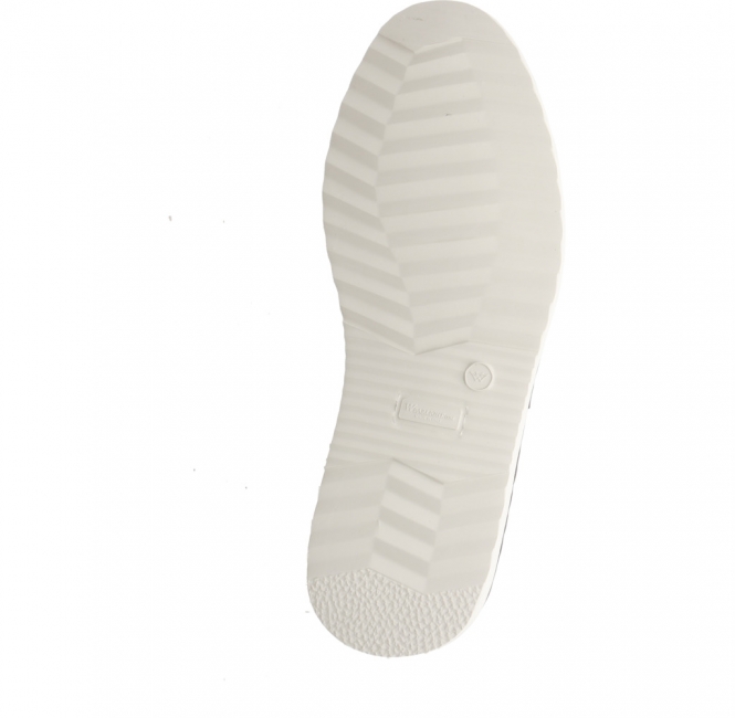 Galizio Torresi 610360