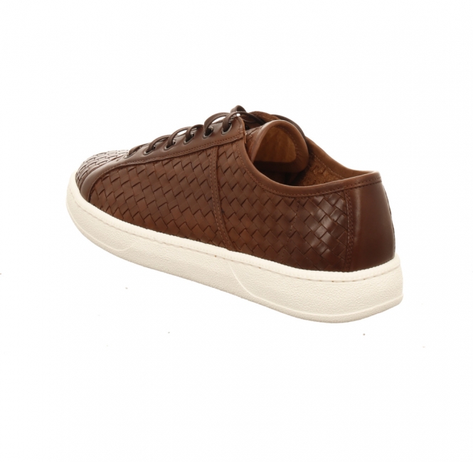 Preview: Franz Gustav Montreal