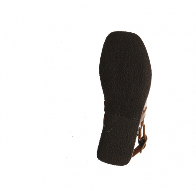 Werner Hortensie braun