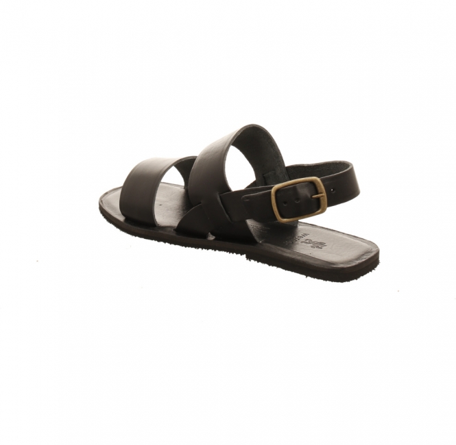 Preview: Werner Hortensie schwarz