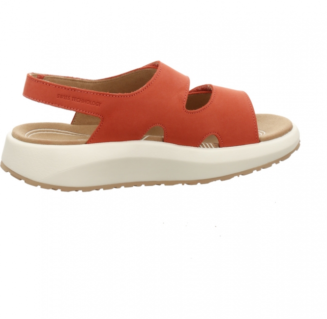 Preview: Joya Panama rot