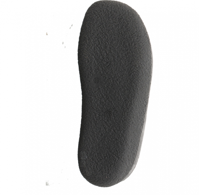 Haflinger Blizzard Skane anth.
