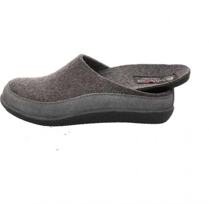 Haflinger Blizzard Skane anth.