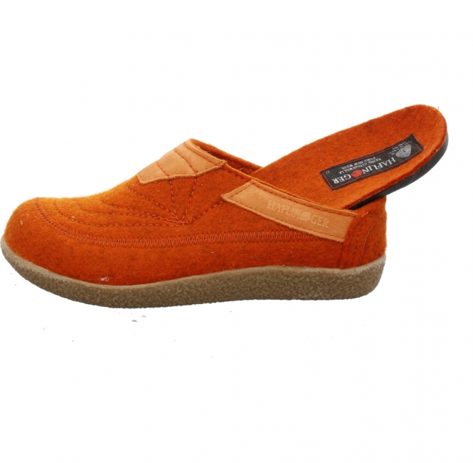Haflinger Blizzard Alibi