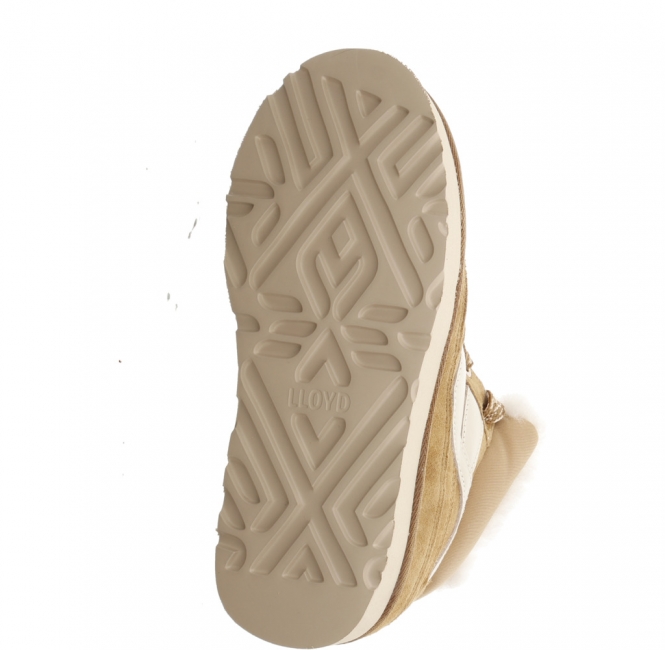Lloyd 26 091 24 Seren camel