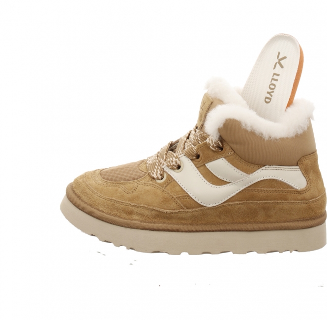 Lloyd 26 091 24 Seren camel