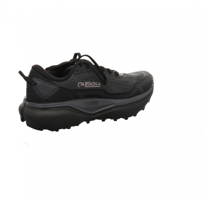 Preview: Brooks Cascadia 20 GTX Lady