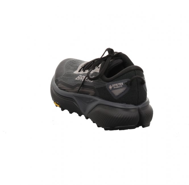 Preview: Brooks Cascadia 20 GTX Lady