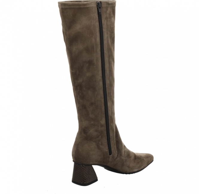 Preview: Brunate 58554