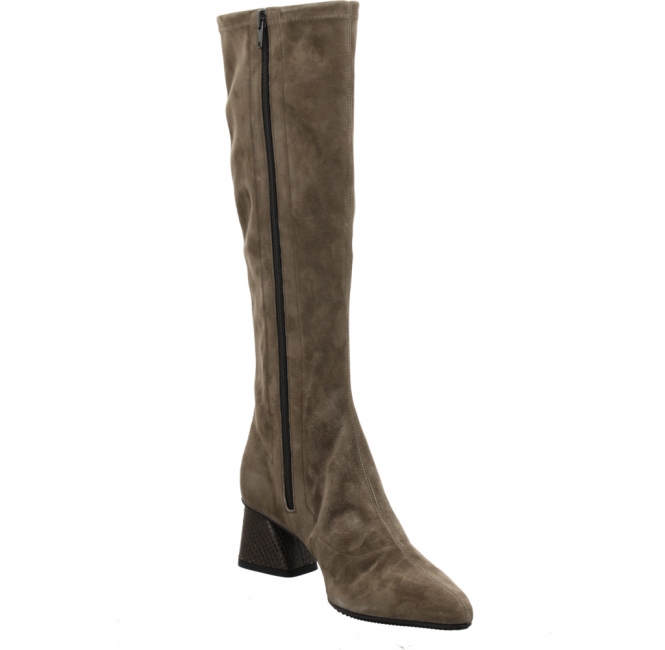 Preview: Brunate 58554