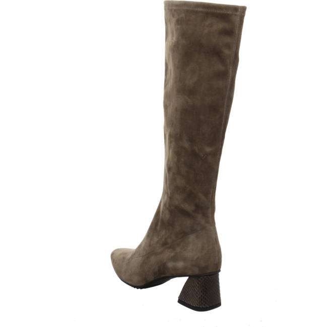 Preview: Brunate 58554