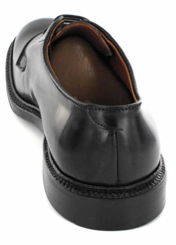 Alden 9901 Blucher