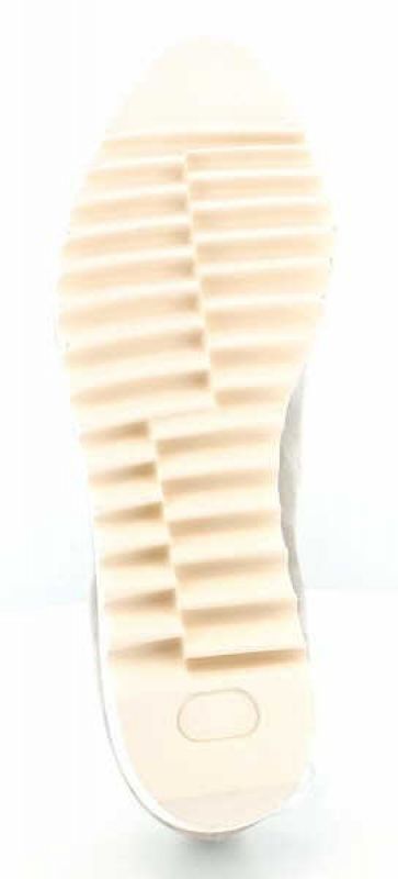 Donna Carolina 31194022