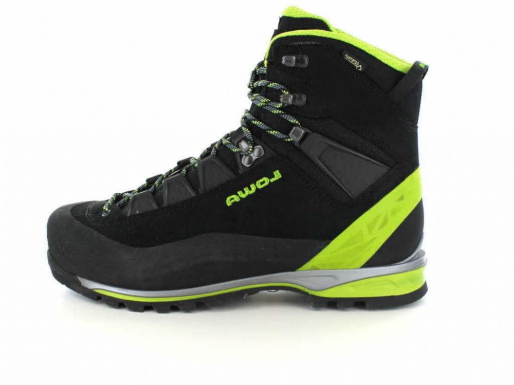 Lowa Alpine Pro GTX LE