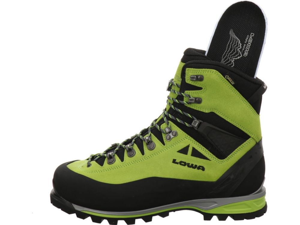 Lowa Alpine Expert GTX