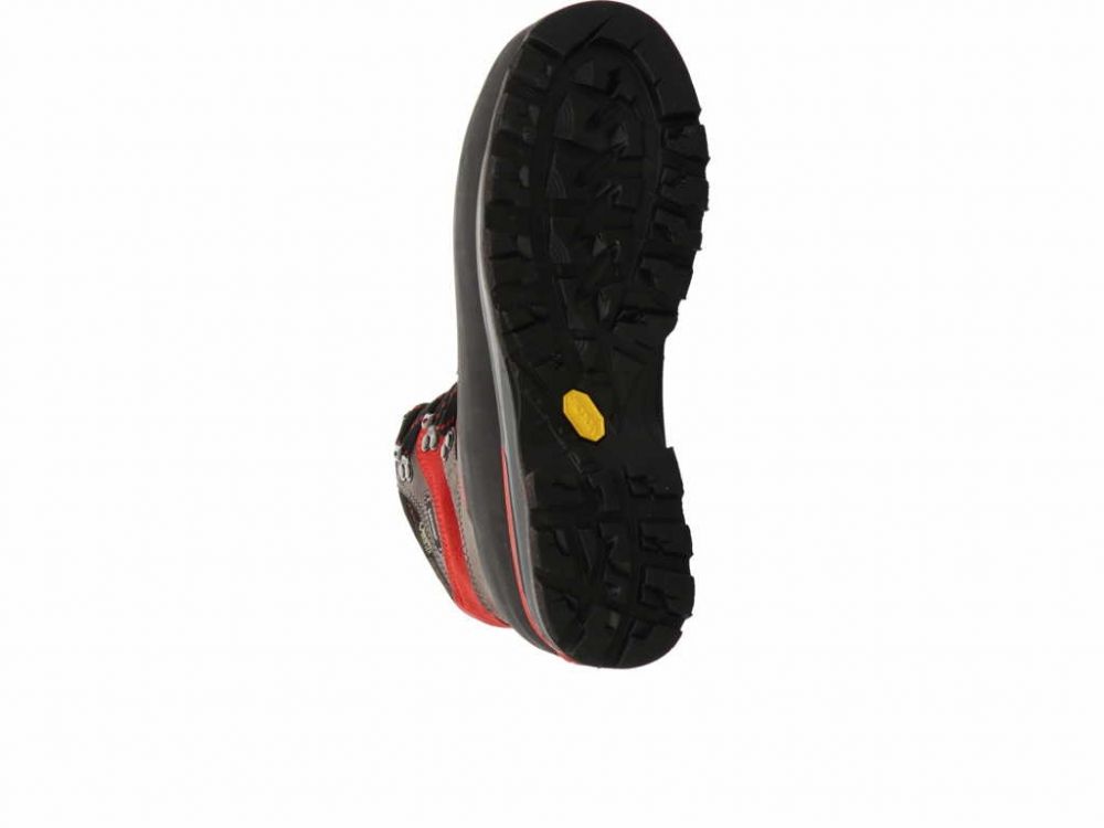 Meindl Island MFS Alpin GTX Men