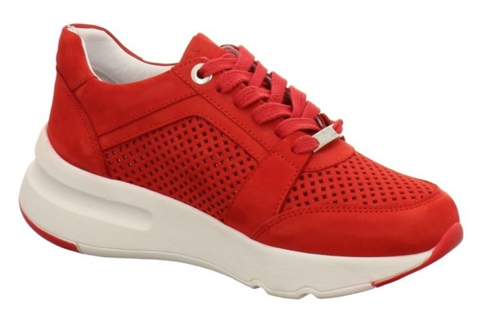 Carmela 67145 rot