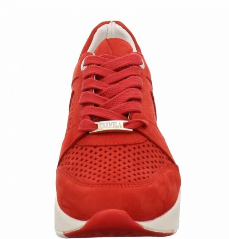 Carmela 67145 rot