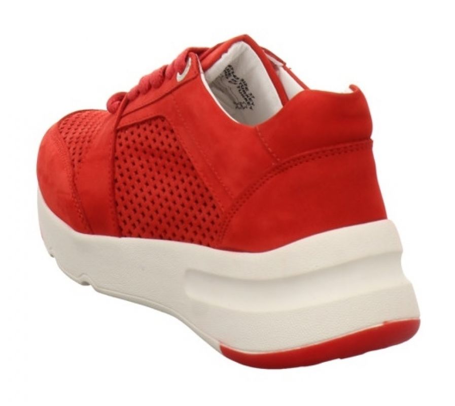 Carmela 67145 rot