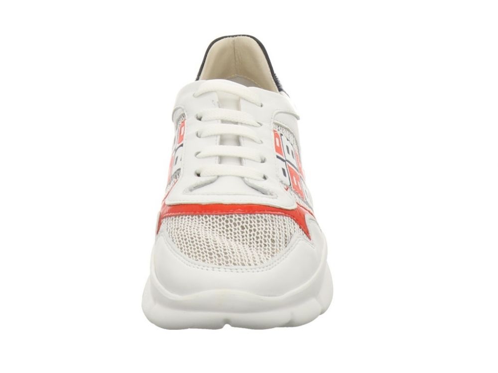 Brunate 25002