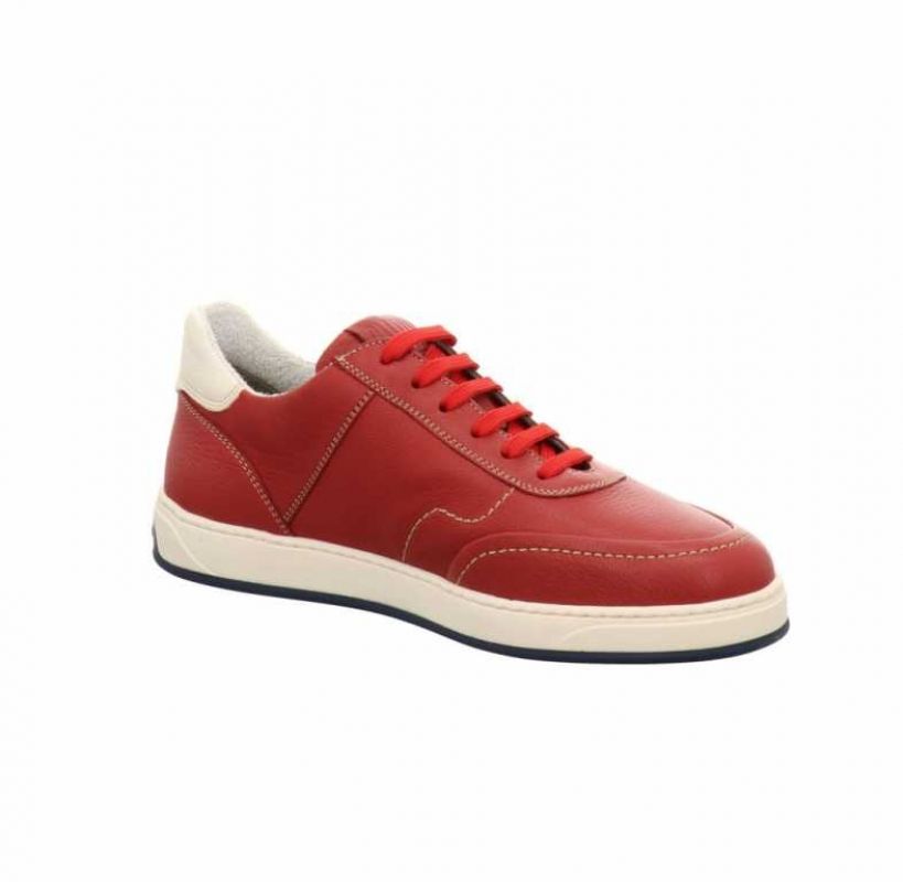 Galizio Torresi 416810 rot