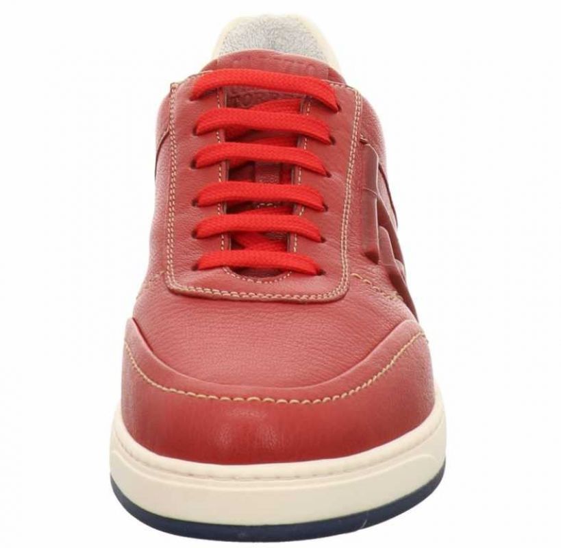 Galizio Torresi 416810 rot