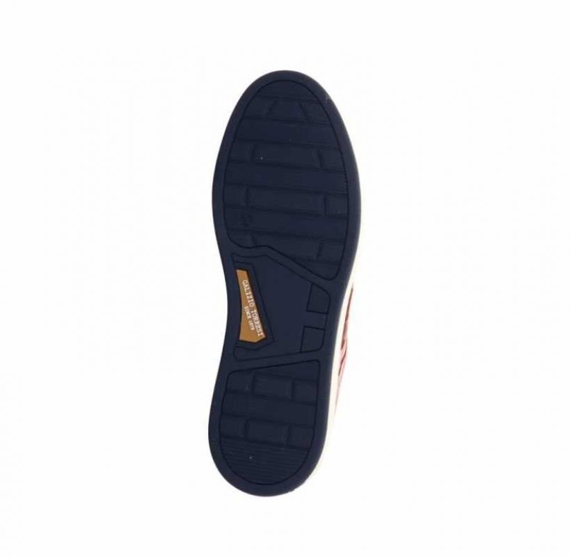 Galizio Torresi 416810 rot