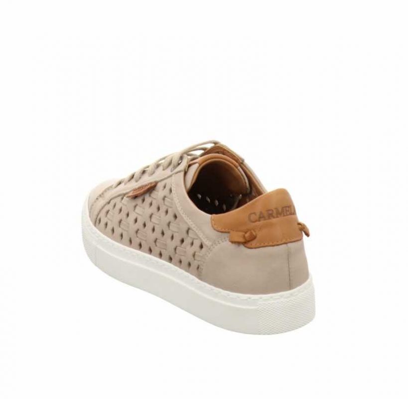 Carmela 67826 Hielo