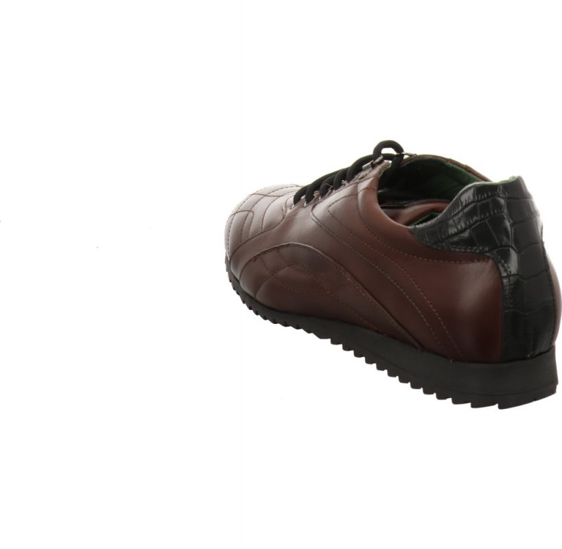 Galizio Torresi 312018 braun