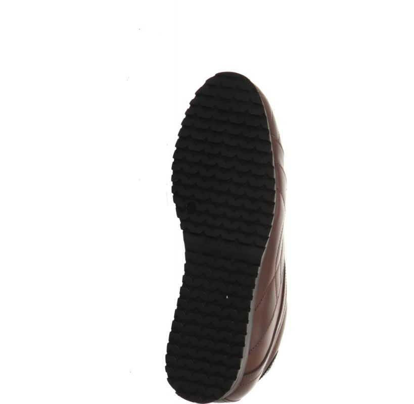 Galizio Torresi 312018 braun