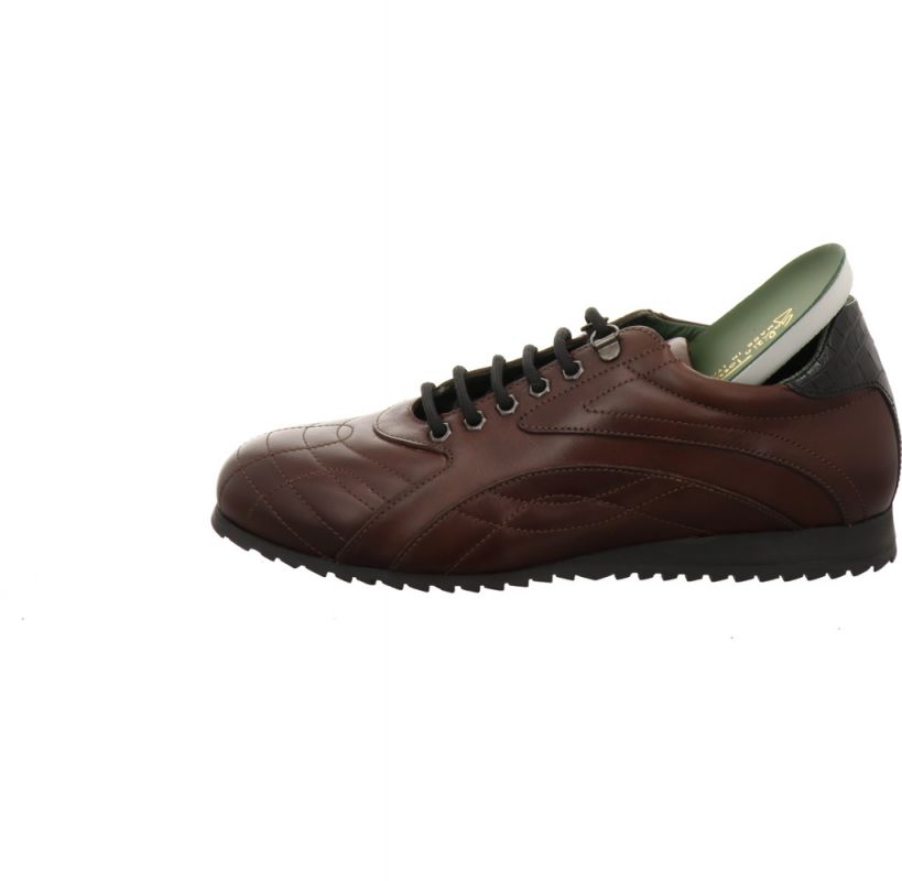 Galizio Torresi 312018 braun