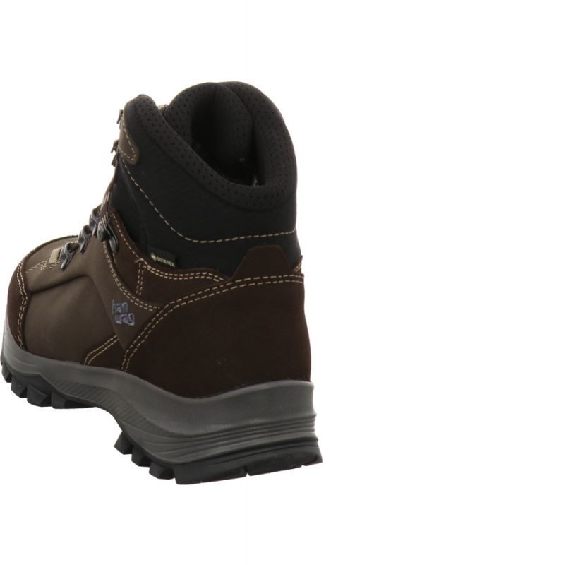 Hanwag Banks Lady GTX braun