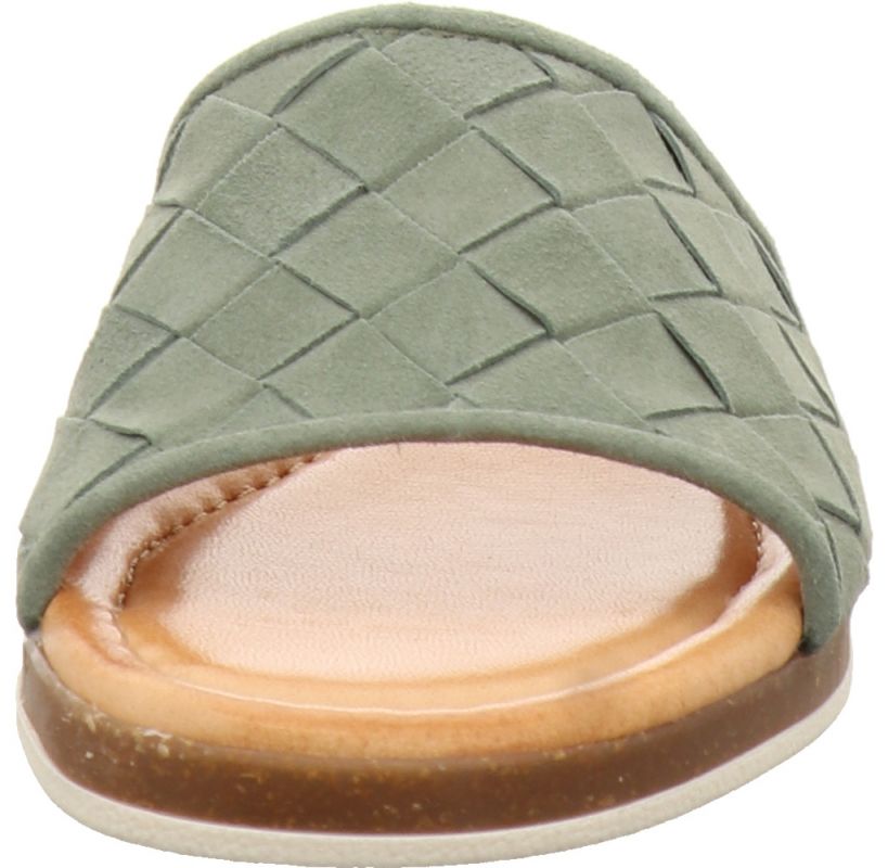 Apple of Eden Holand 49