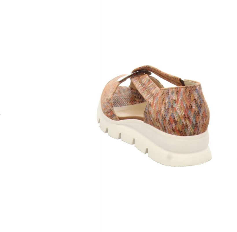 Brunate 39636