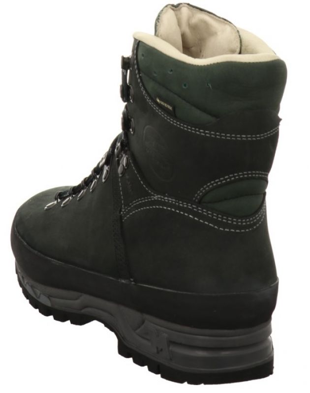Meindl Island MFS GTX braun