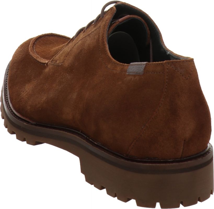Floris van Bommel SFM 30281